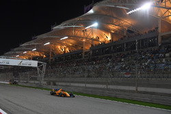 Стоффель Вандорн, McLaren MCL33