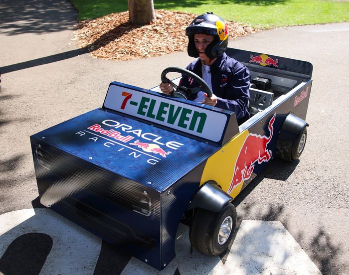 Isack Hadjar, Red Bull Racing