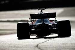 Stoffel Vandoorne, McLaren MCL32