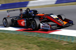 Harrison Newey, Van Amersfoort Racing Dallara F317 - Mercedes-Benz