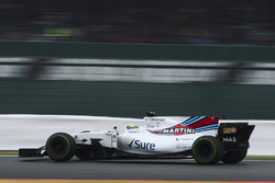 Felipe Massa, Williams FW40
