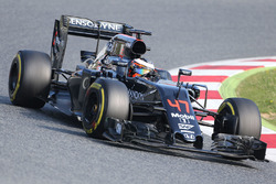 Стоффель Вандорн, тестовый и резервный пилот McLaren MP4-31