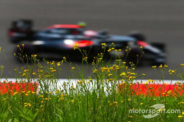 Jenson Button