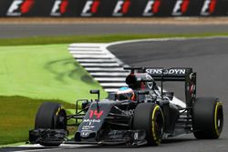 Fernando Alonso, McLaren MP4-31
