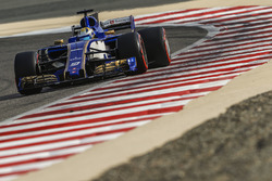 Маркус Ерікссон, Sauber C36