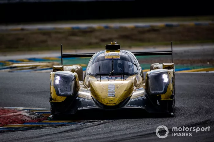 #29 Racing Team Nederland Dallara P217: Frits Van Eerd, Giedo Van Der Garde, Nyck De Vries