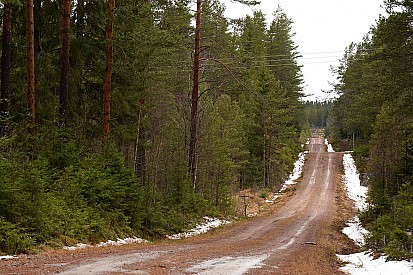 Die Rallye Schweden findet statt!