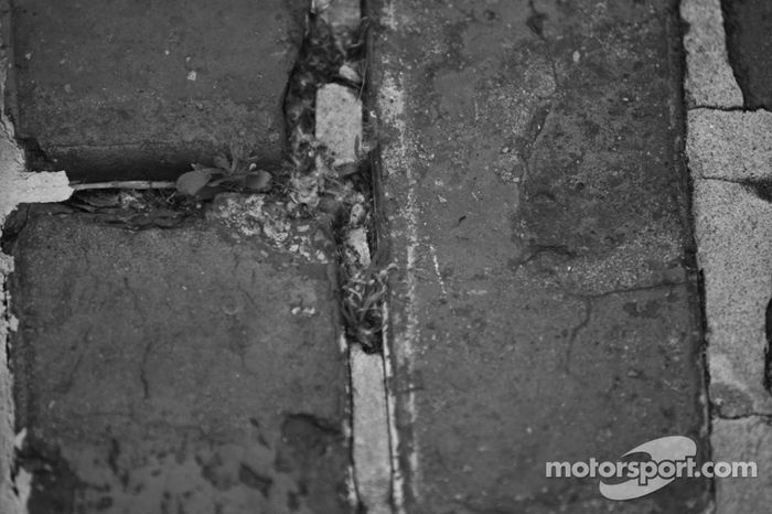 La yarda de ladrillos