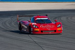 #99 GAINSCO / Bob Stallings Racing Corvette DP Chevrolet: Alex Gurney, Jon Fogarty, Darren Law, Memo Gidley