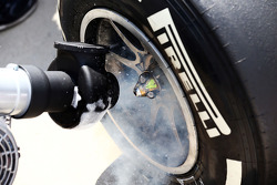 Red Bull Racing RB10, Pirelli-Reifen