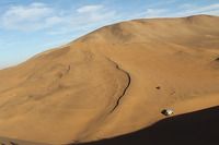 جميع الصور