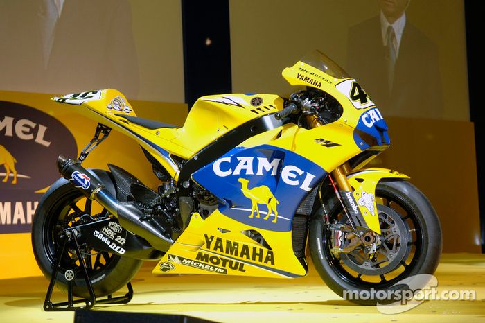 Camel & Yamaha
