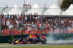 Daniil Kvyat, Red Bull Racing RB11 locks up under braking