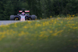 Max Verstappen, Scuderia Toro Rosso