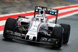 Susie Wolff, Williams FW37 piloto de desenvolvimento