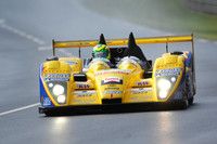 Alle Fotos