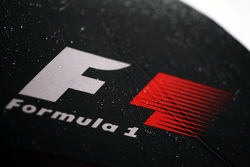 F1 logo
