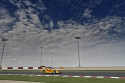 Tom Coronel, Chevrolet Cruze, ROAL Motorsport