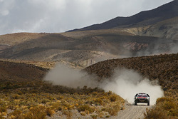 #321 Peugeot: Cyril Despres, David Castera