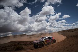 #321 Peugeot: Cyril Despres, David Castera