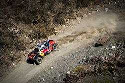 #303 Peugeot: Carlos Sainz, Lucas Cruz