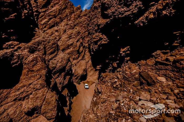 #315 Mini: Mikko Hirvonen, Michel Perin