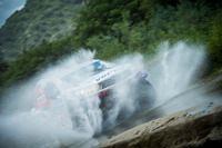 Alle Fotos