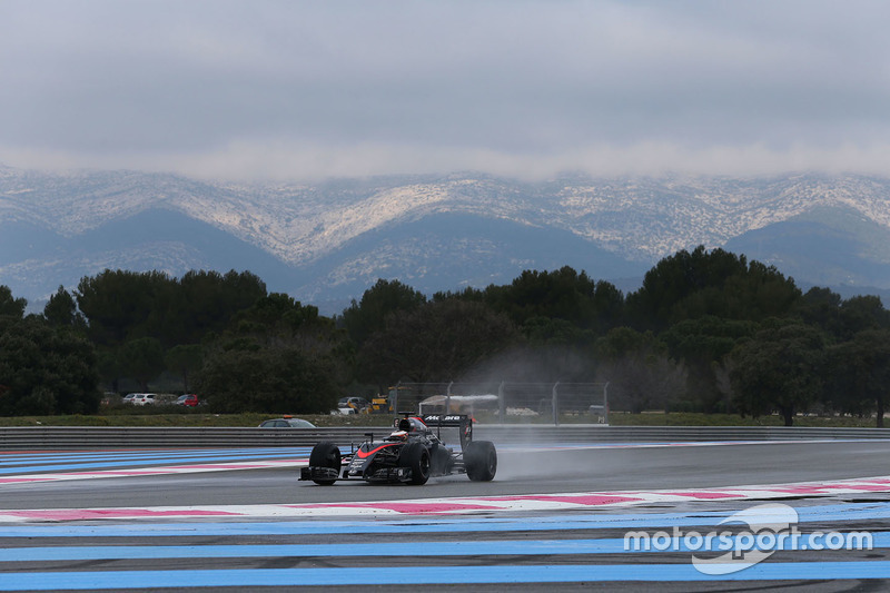 Stoffel Vandoorne, McLaren MP4-30